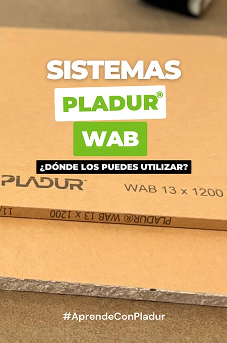 Pildora - Sistemas WAB